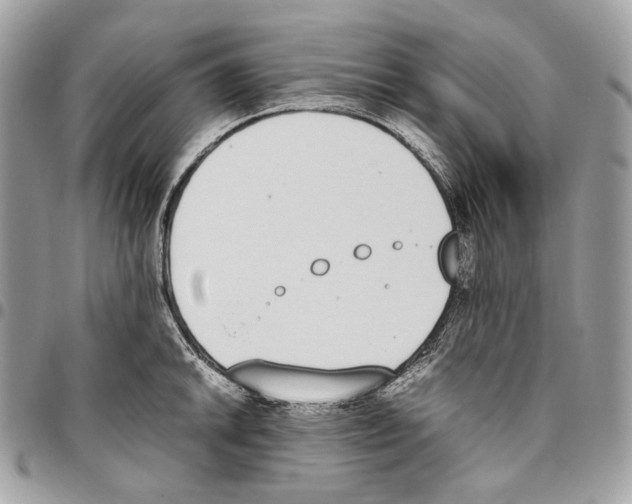 X0000095891046200802081113
