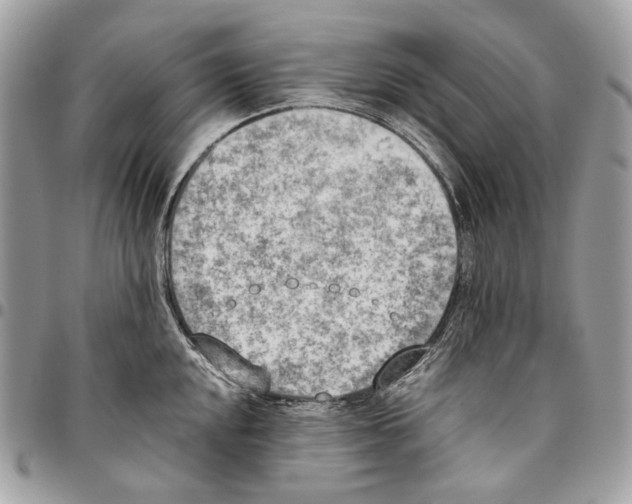 X0000095891048200802081113