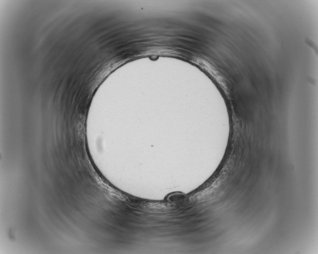 X0000095891049200802081113