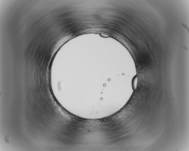 X0000095891050200802081113