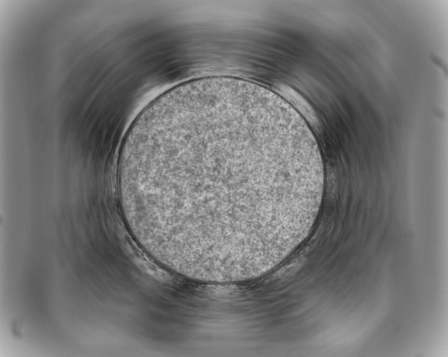 X0000095891052200802081113