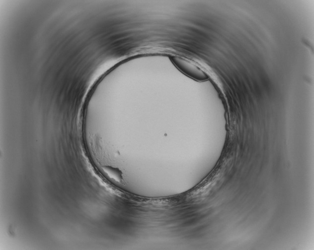 X0000095891053200802081113