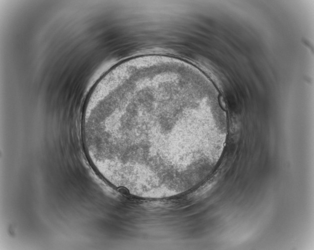 X0000095891054200802081113