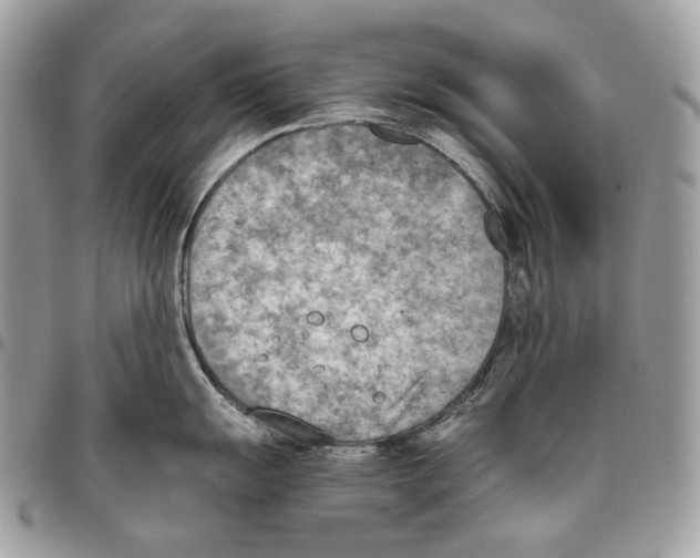 X0000095891055200802081113