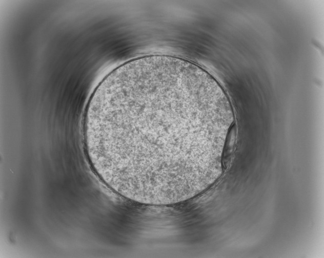 X0000095891056200802081113