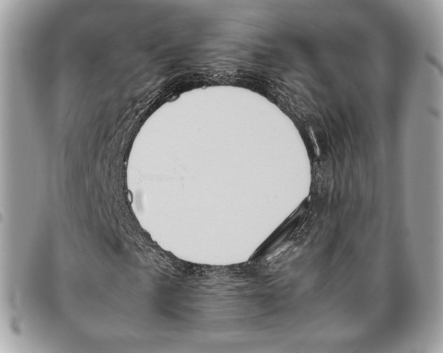 X0000095891057200802081112