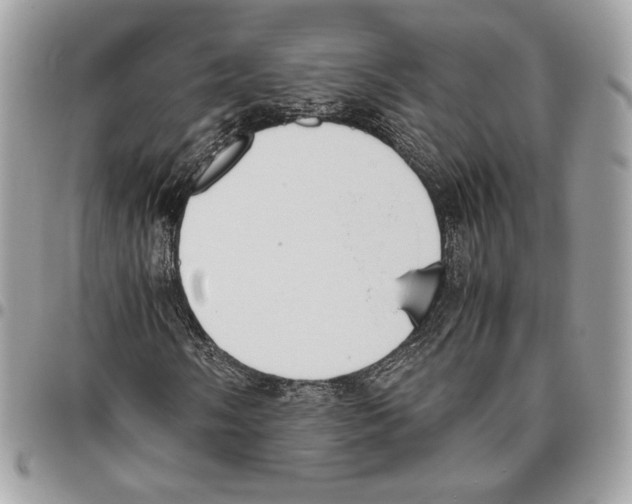 X0000095891058200802081112