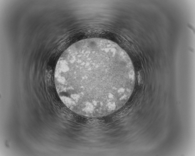 X0000095891059200802081112