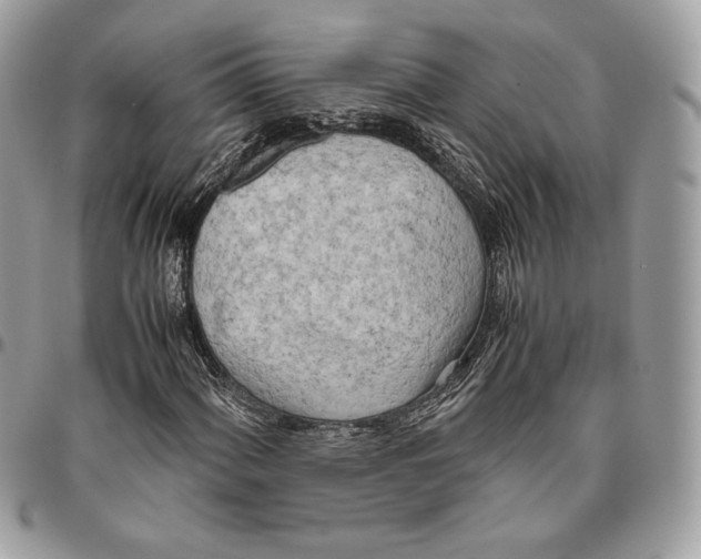 X0000095891060200802081112