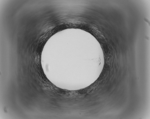 X0000095891061200802081112