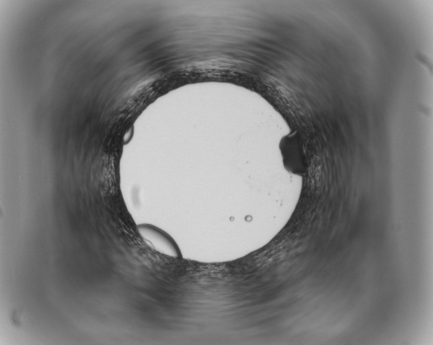 X0000095891062200802081112
