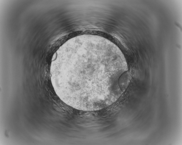 X0000095891063200802081112
