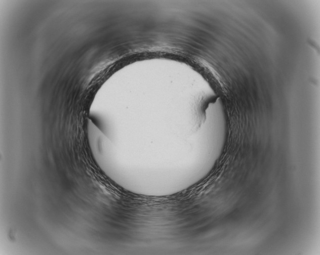 X0000095891064200802081112