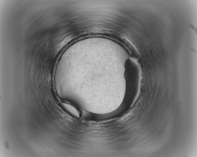 X0000095891065200802081112