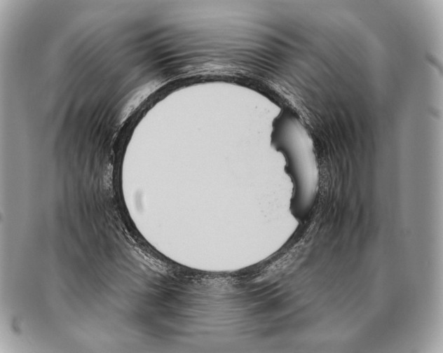 X0000095891066200802081112