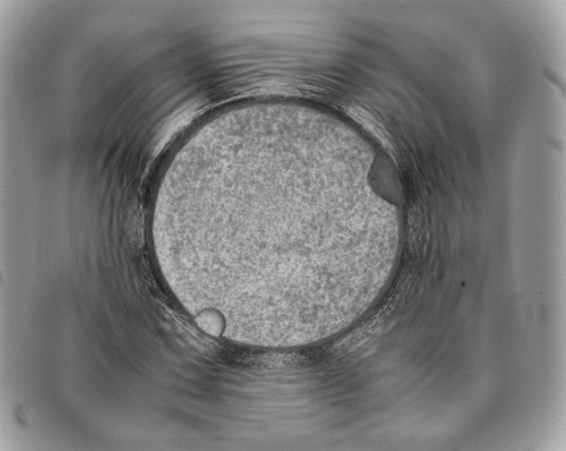 X0000095891067200802081112