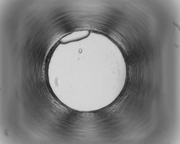 X0000095891068200802081112