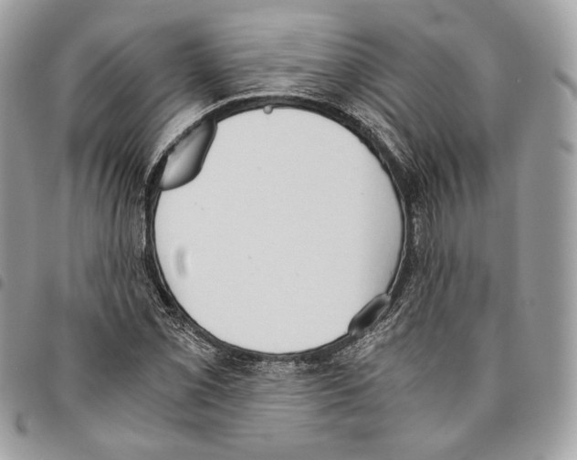 X0000095891069200802081112