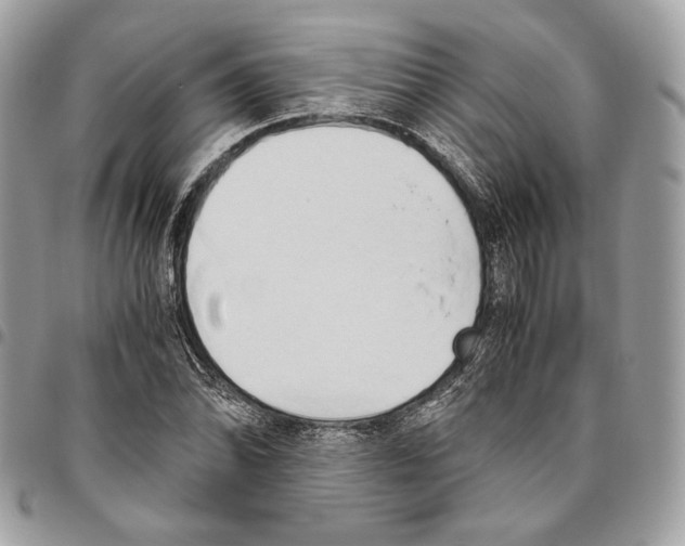 X0000095891070200802081112