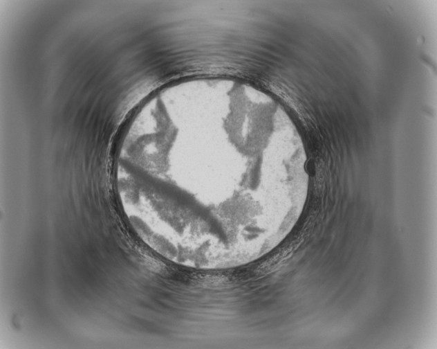 X0000095891071200802081112