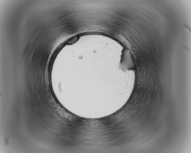 X0000095891072200802081112