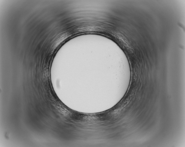 X0000095891073200802081112