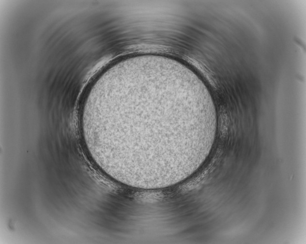 X0000095891074200802081112