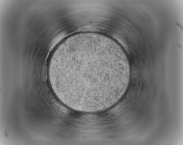 X0000095891075200802081112