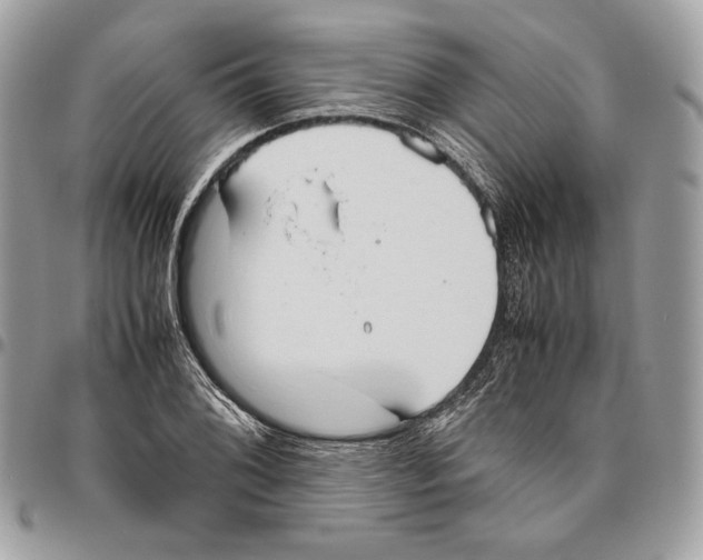 X0000095891076200802081112