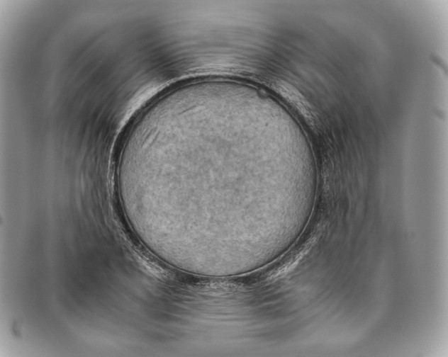 X0000095891077200802081112