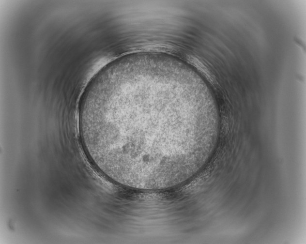 X0000095891079200802081112