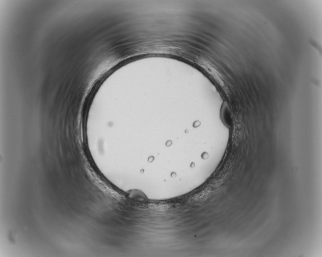 X0000095891080200802081112