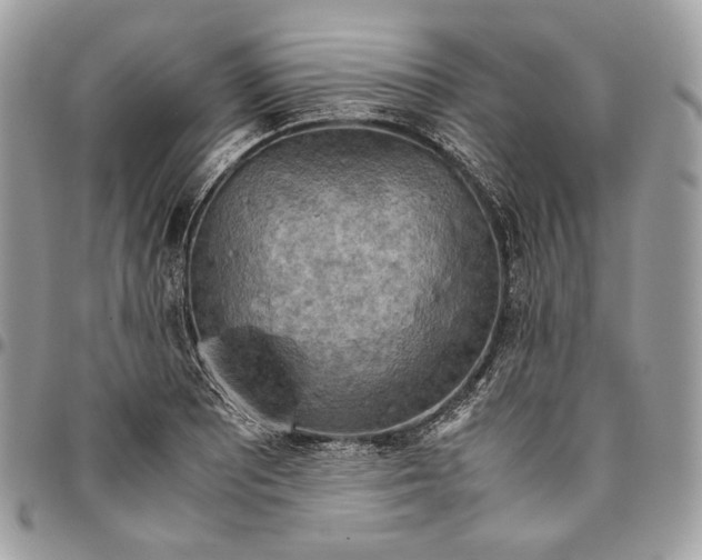 X0000095891081200802081112