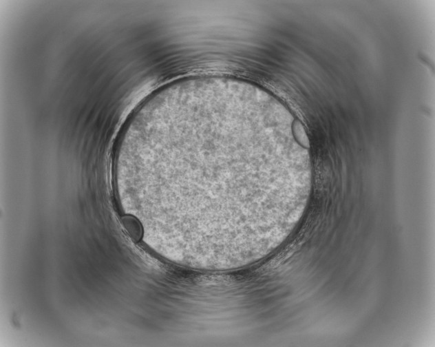 X0000095891083200802081112