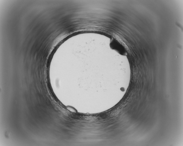 X0000095891085200802081112