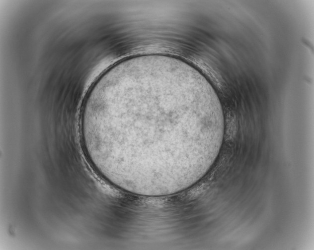 X0000095891086200802081112