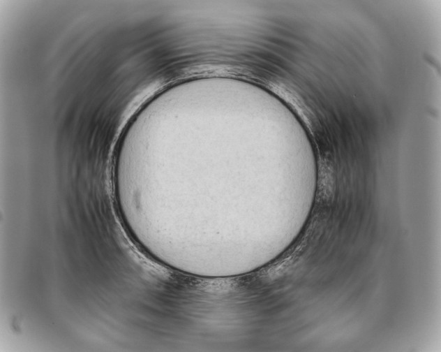 X0000095891090200802081112