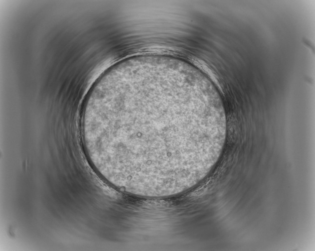 X0000095891091200802081112