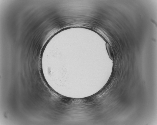 X0000095891093200802081112