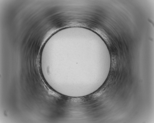 X0000095891094200802081112