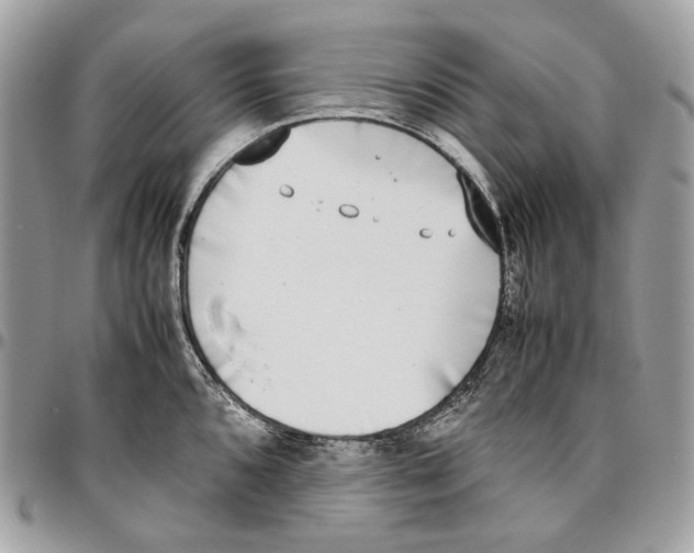 X0000095891096200802081112
