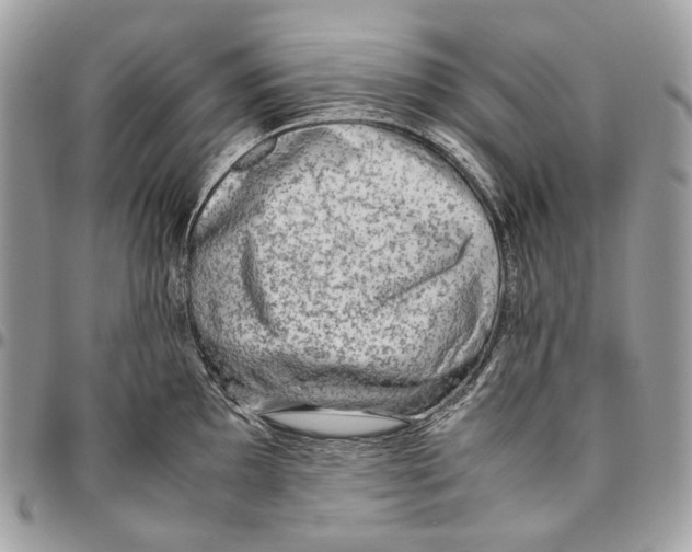 X0000095891097200802081112