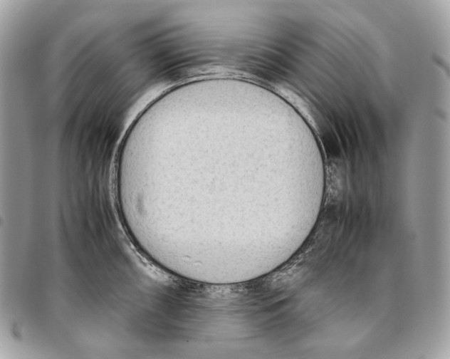 X0000095891098200802081112