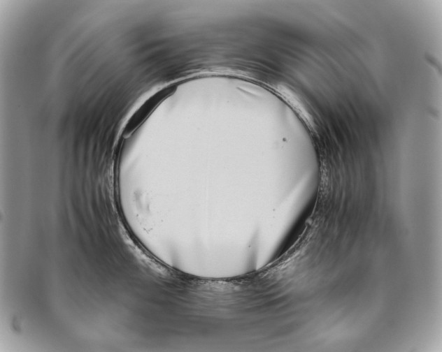 X0000095891100200802081112