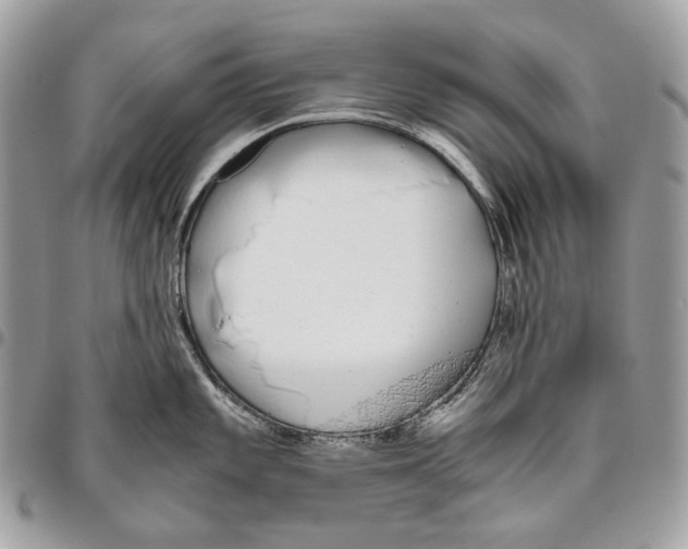 X0000095891101200802081112