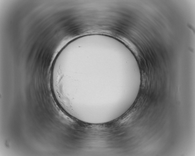 X0000095891102200802081112