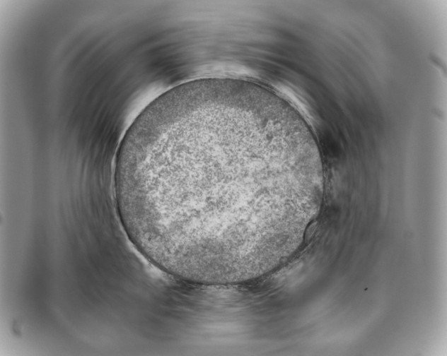 X0000095891103200802081112