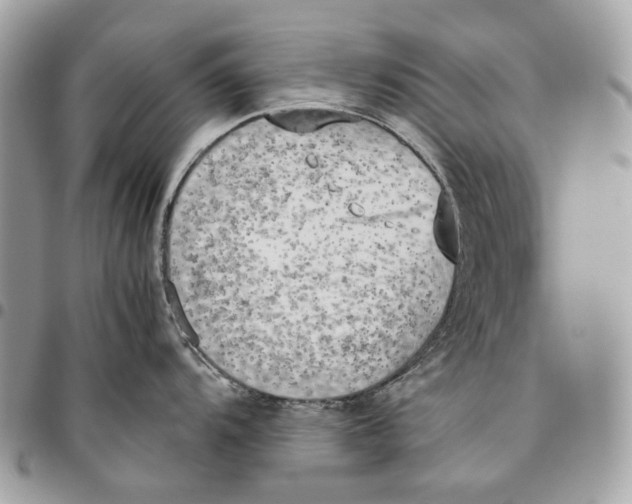 X0000095891104200802081112