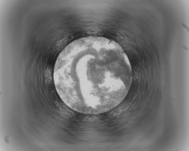 X0000095891106200802081111
