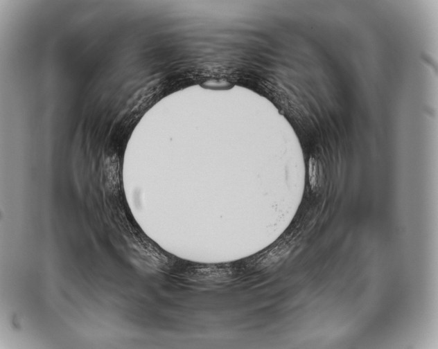X0000095891107200802081111